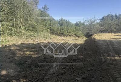 Teren agricol extravilan de 1200 mp, în Sibiel