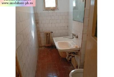Apartament 3 camere de vanzare : Malu Rosu - 8