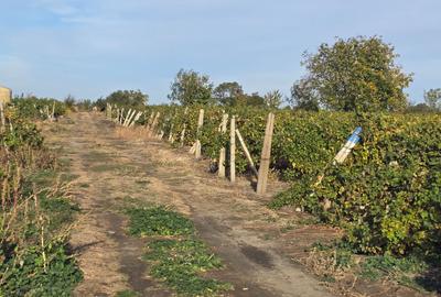 Teren de vanzare Unirea  Odobesiti ,2014 mp, investitie , pretabil construire - 8