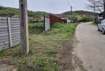 Teren Construcții intravilan de 979 mp, în Livezi