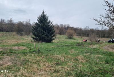 Teren Intravilan 1000 mp.utilităti langa teren,Targu Mures - 4