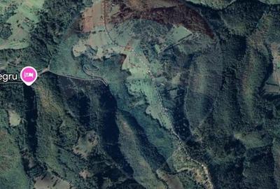 Teren 130000 mp extravilan, faneata si padure, Munteni - Bulz, Negreni - 5