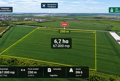 Teren 6,7 ha Remetea Mare acces A1 negociabil - 1