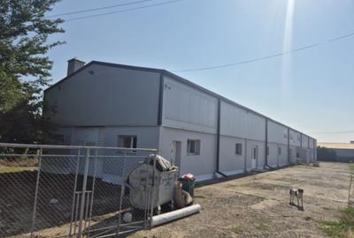 Hală renovată Cătămărăști Deal - 2