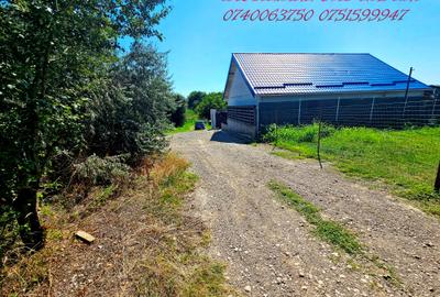 Teren vanzare intravilan , strada TRESTIEI - 1