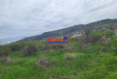 Teren agricol intravilan de 35000 mp, în Ștefănești