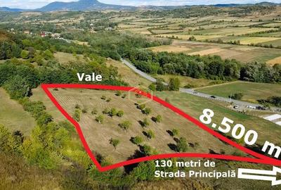 VIDEO | Super view | Teren 8.500 m² in Maramures | Viitorul tau colt de liniste - 8
