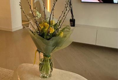Inchiriere apartament Cortina North - 3