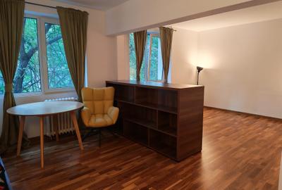 Tineretului apartament splendid, spatios si modern - 5