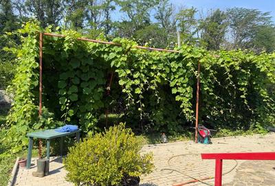 Casa din lemn masiv | 3 camere | Teren 5.000mp -Berceni Prahova - 10