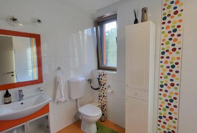 CASA P+1 ÎN BALOȚEȘTI – LÂNGĂ PĂDURE, TEREN 700 MP, LIVADĂ, CRAMĂ, BECI ȘI CURTE - 13