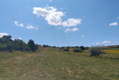 Teren extravilan de 6414 mp, în Breazu