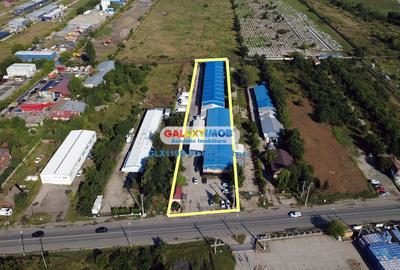 Vanzare 2 Hale 2515 mp + teren 6200 mp Magurele - 4