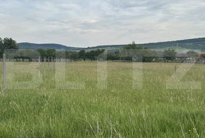 Teren Construcții intravilan de 1100 mp, în Livezile