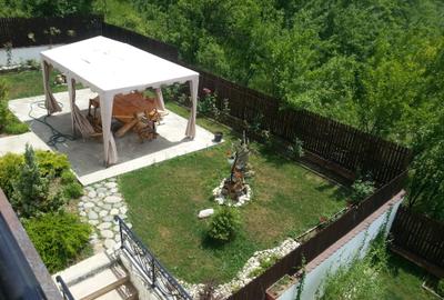 Casa Calinesti Arges - 2