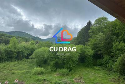 Investiție cu suflet: Pensiune de vânzare pe Valea Avrigului - 8