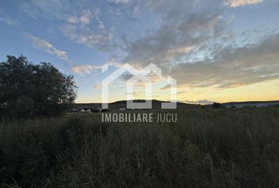 Teren – 7.194 mp | Răscruci – Zona Tetarom - 3