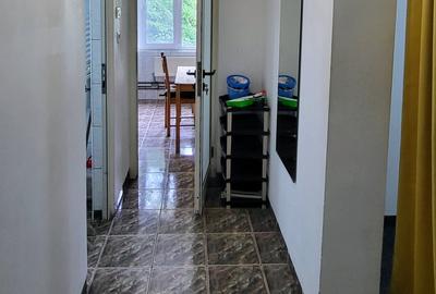Dristor - 2 camere cu centrala la doua minute de metrou - pet friendly - 23