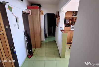 2Camere Lacu Tei Cristea Mateescu - 7