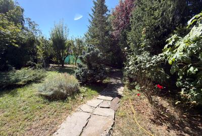 Aspen House, 5 camere, gradina matura, garaj, din caramida, Paradisul Verde - 2