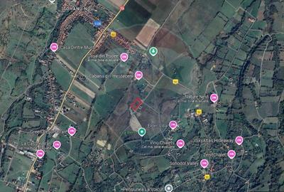 Teren Bran - Sohodol intrare 1050-4800mp - 17
