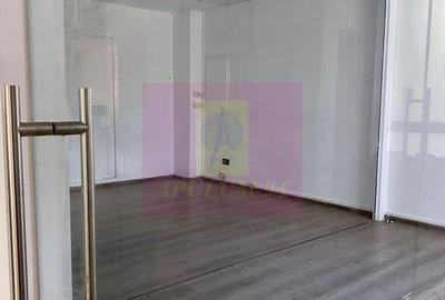 Birou 30 mp | Zona Prosper, 13 Septembrie | Utilitati incluse - 1
