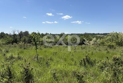 Teren 3015 mp Moșoaia | Zonă liniștită lângă pădure | Ideal casă | 15,99 €/mp - 6