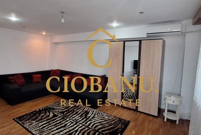Apartament de inchiriat zona Calea Bucuresti-Piata Mare - 2