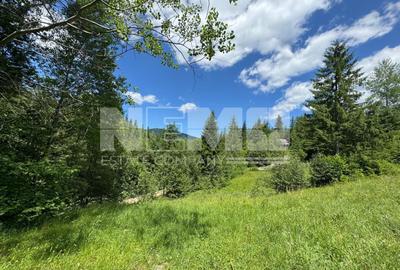 TEREN EXTRAVILAN DE VANZARE | CAMPULUNG MOLDOVENESC | 235.000€ - 2
