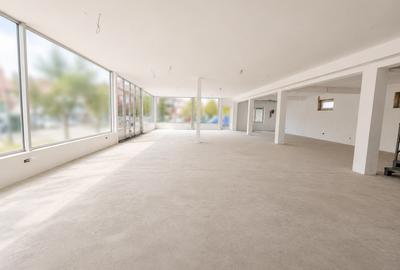 Spațiu comercial, de 280.00 mp, în Cantemir