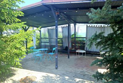 PROPRIETATE DEOSEBITĂ CU POTENȚIAL REZIDENȚIAL ȘI  BUSINESS – MOVILA, NICULEȘTI - 5