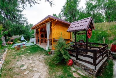 Pensiune de vânzare, Corbșori (Poenari)| potențial real de Business - 16