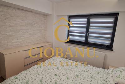 Apartament 2 camere de închiriat Ultracentral, Lângă Gradina Botanica - 10
