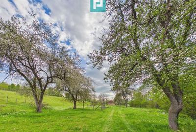 Casă cu teren de 17.681 mp, în loc. Hălmăgel, Arad - 11