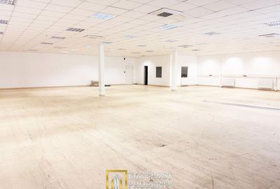 Hală / spațiu industrial 376 mp + birouri, acces TIR - 1