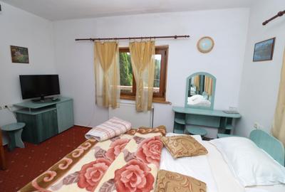 Vila turistica de vanzare in Zamora, Busteni - 3