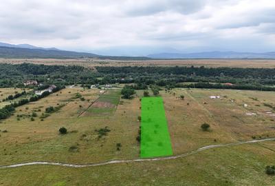 Teren de 5000 mp, în Avrig