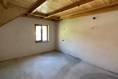 Casa cu teren langa râu Lotrioara - 11