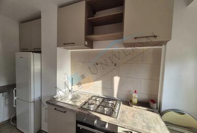 TINERETULUI- 2 min Metrou, Locatie Splendida, Garsiniera Superba - 3