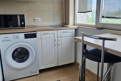 Apartament 2 camere de inchiriat Cismigiu - 8