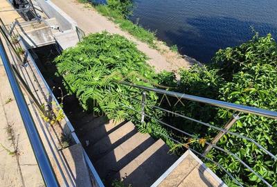 Vilă cu deschidere la lac I  Piscină proprie și acces rapid către București* - 16