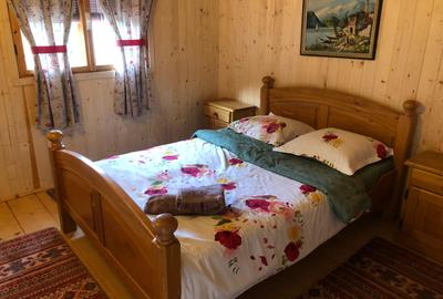 Proprietate superba,compusa din 3 cabane,1175 mp teren.TRANSFAGARASAN - 28