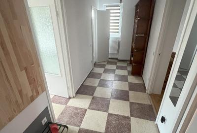 Apartament 2 cam, zona Centru Civic - Mesota, renovat, utilat, nemobilat - 14