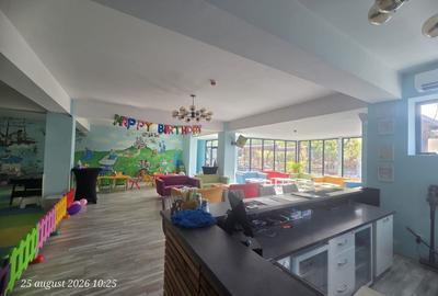 Spațiu comercial, de 391 mp, în Dristor