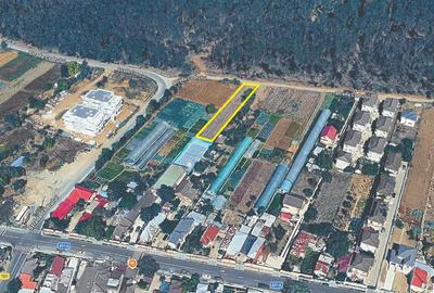 Vânzare teren 1360 mp în Măgurele, strada Codrului - 1