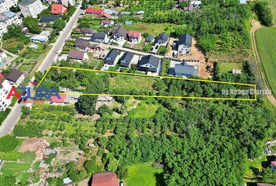 Teren pentru vile in centrul orasului Costesti, 3000 mp - 6