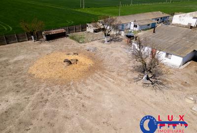 ID 7905 Oportunitate investiție agro-industrială - EXCLUSIVITATE - 6