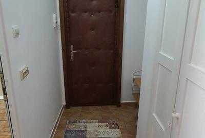 Ultracentral Olteniei apartament 1 camera de vanzare - 8