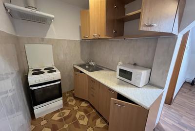 Apartament cu două camere Mehala - 4