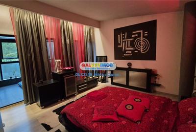 Vila 5 camere 264mp D+P+M Sinaia Platoul Izvor - 11